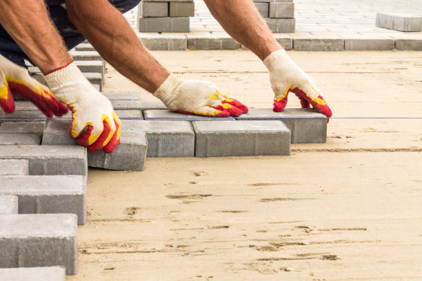 Best Local Driveway Pavers  in Colona, IL